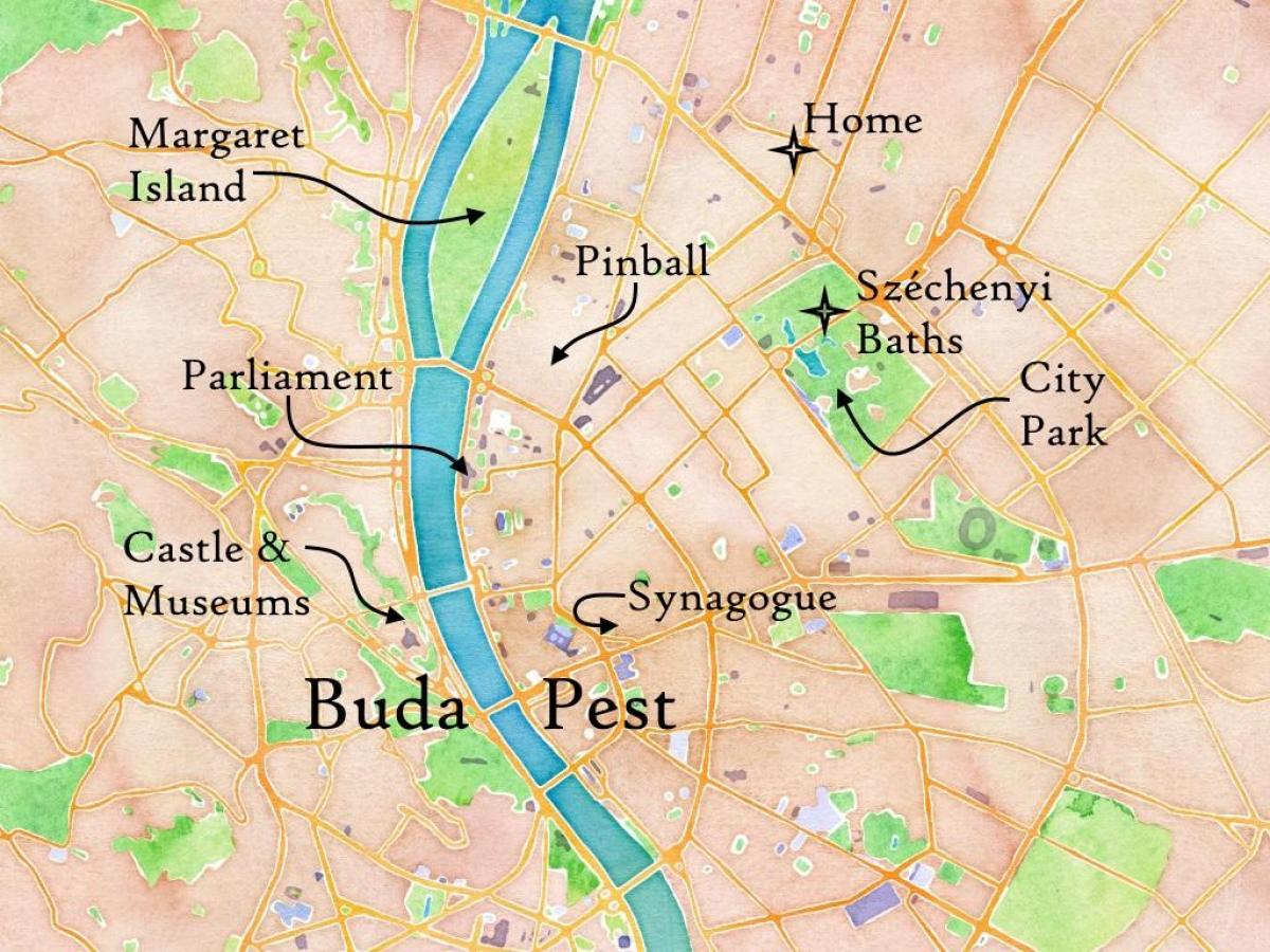 buda یا کیڑوں کا نقشہ
